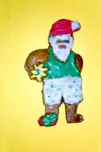 Weihnachtsmann in Lebkuchen von Nina